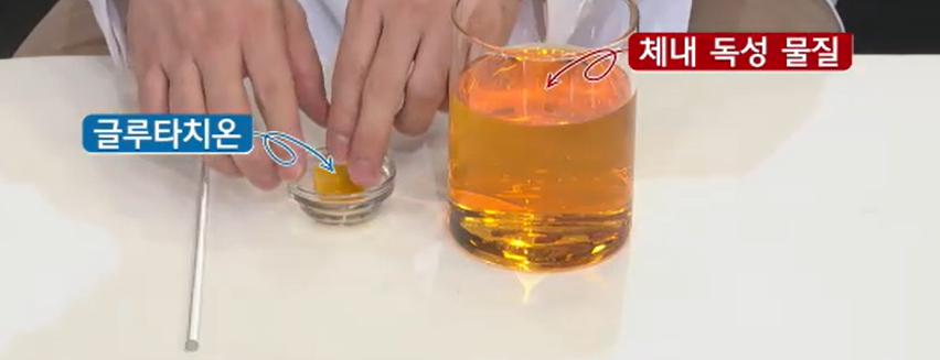 글루타치온 효능