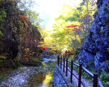 주왕산 국립공원 단풍_20