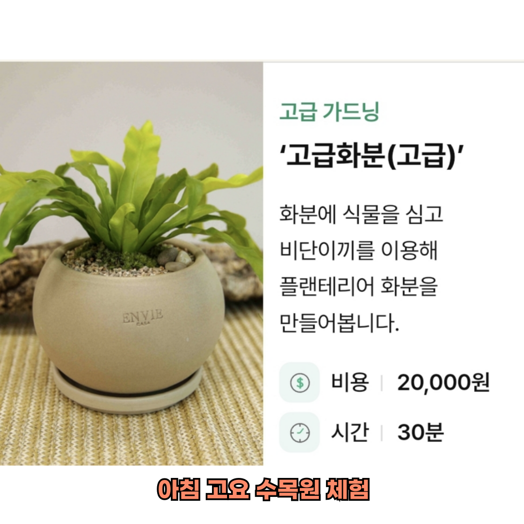 아침고요수목원 체험