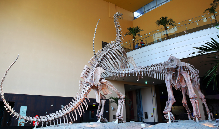 해남 공룡박물관