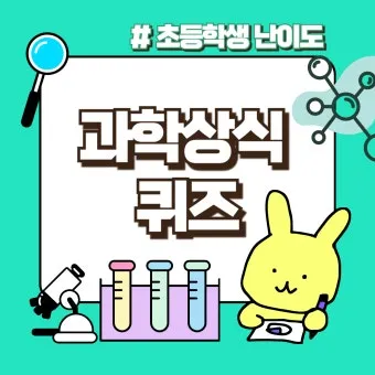 2025 기초상식 퀴즈 100선 모음_19