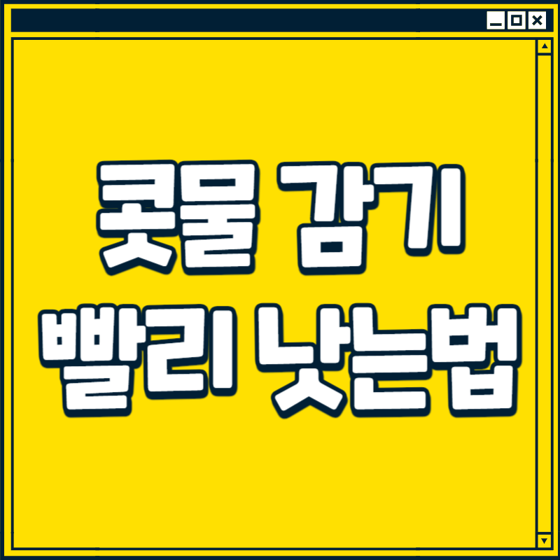 콧물 감기 빨리 낫는법