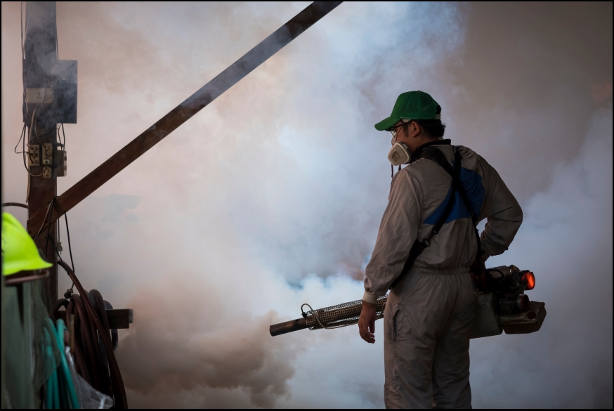 모기를 퇴치하기 위한 소독을 하고 있는 사람