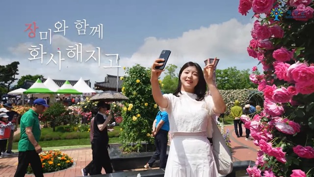 곡성 세계 장미축제 기간