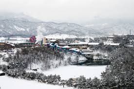 국내 겨울 가족 여행지 추천 설악 워터피아 스파밸리, 울진덕구온천 전경