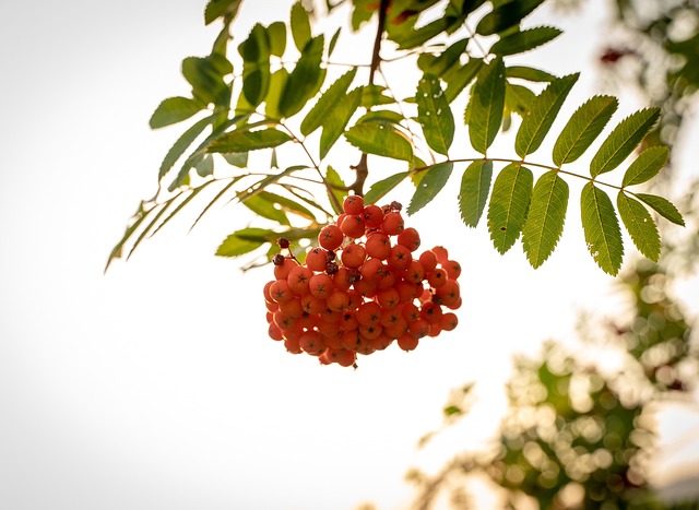 코피 멈추는 법 BEST5 &ndash; 빠르고 효과적인 대처법