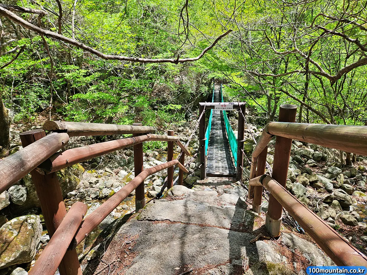 출렁다리