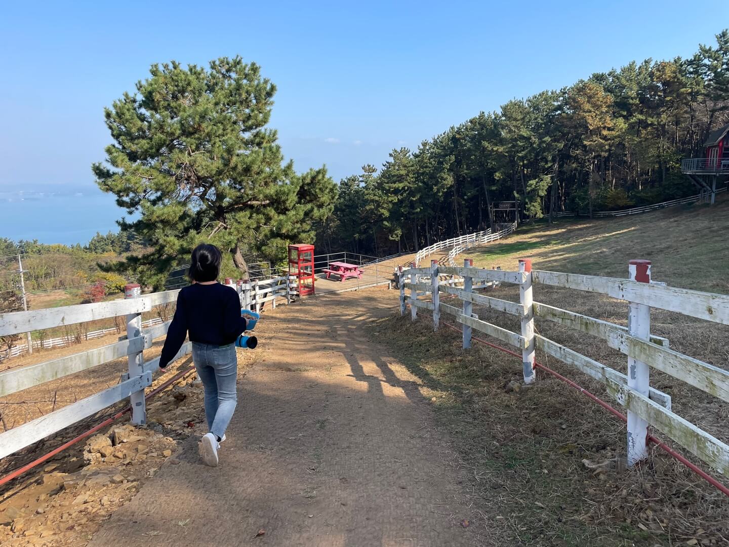 남해 상상양떼목장