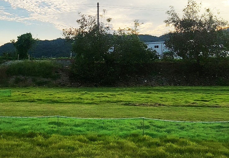 천안 풍서천파크골프장 소개