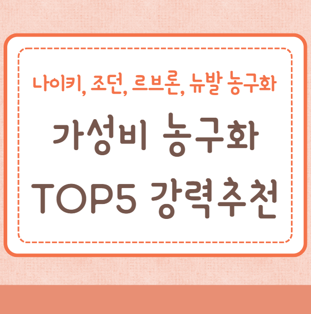 가성비 농구화 TOP5 추천(나이키, 조던, 르브론, 뉴발)