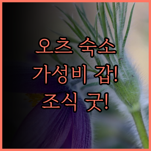 토요코인 교토 비와코 오쓰, 깔끔하고