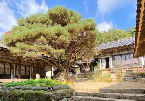 봉정사 이미지 02