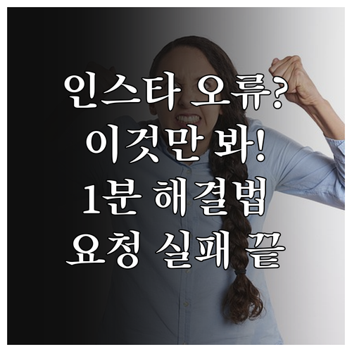 인스타그램 요청을 처리할 수 없습니다..