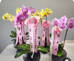 승진 진급 축하 메시지 모음