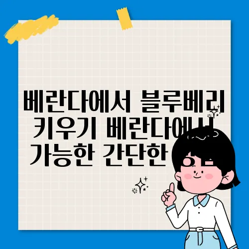베란다에서 블루베리 키우기 베란다에서 가능한 간단한 방법
