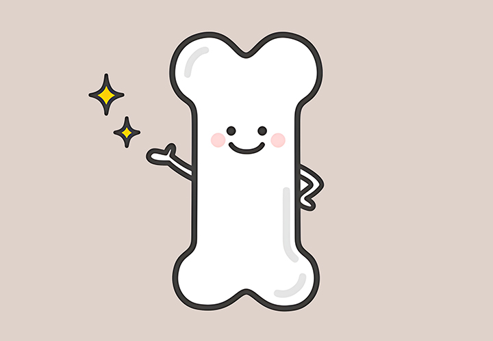 건강한-뼈의-모습