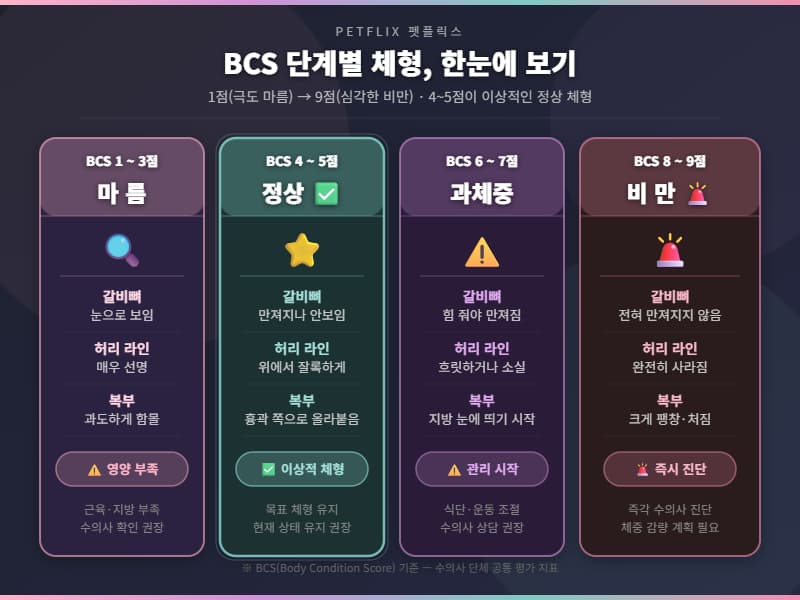강아지 BCS 1~9단계 체형 기준표. 1~3점 마름, 4~5점 정상, 6~7점 과체중, 8~9점 비만으로 갈비뼈·허리 라인·복부 형태 기준으로 구분
(Petflix 펫플릭스)