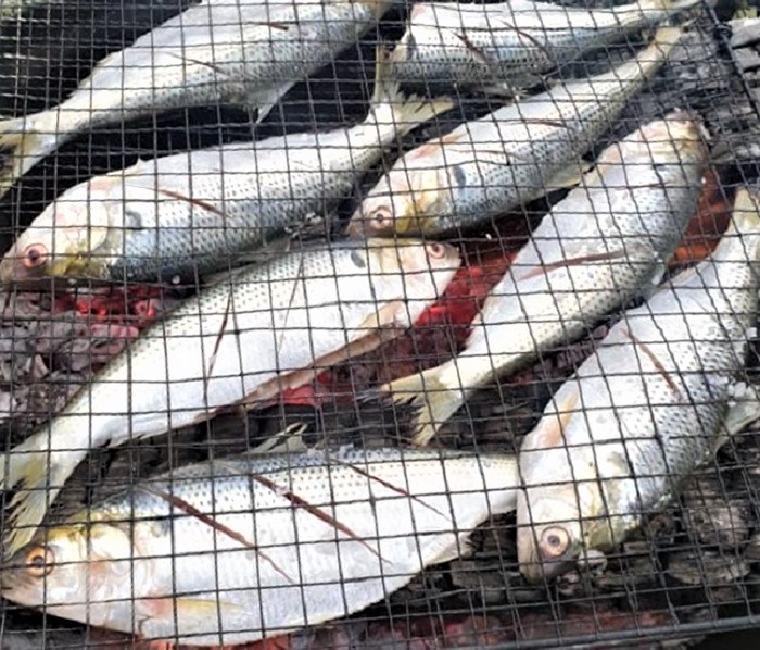 가을이면 생각나는 생선 전어