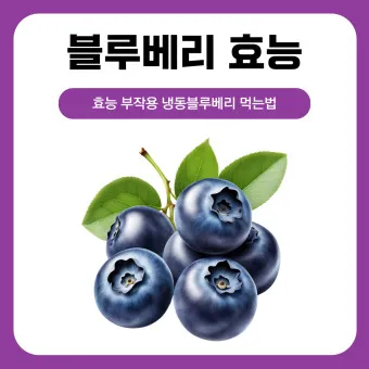블루베리 효능 먹는법 하루 섭취량 쥬스_19
