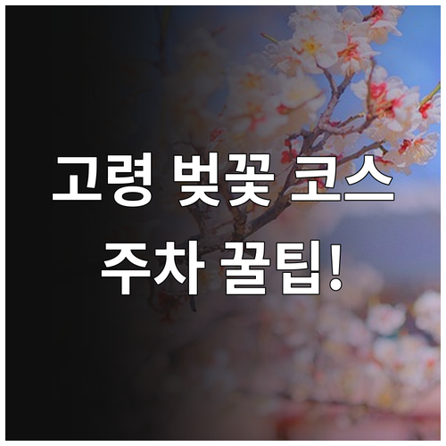 고령 벚꽃 여행 코스 및 주차 시설 ..