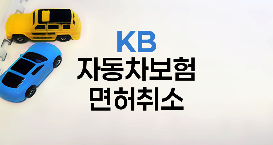 KB 자동차보험 운전면허 취소 대처법