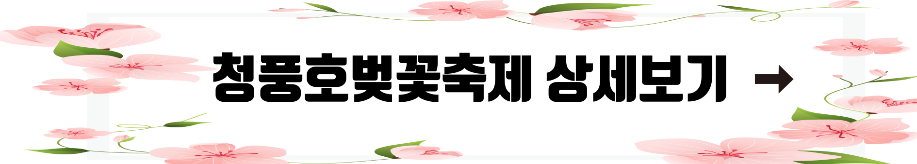 청풍호벚꽃축제 상세보기