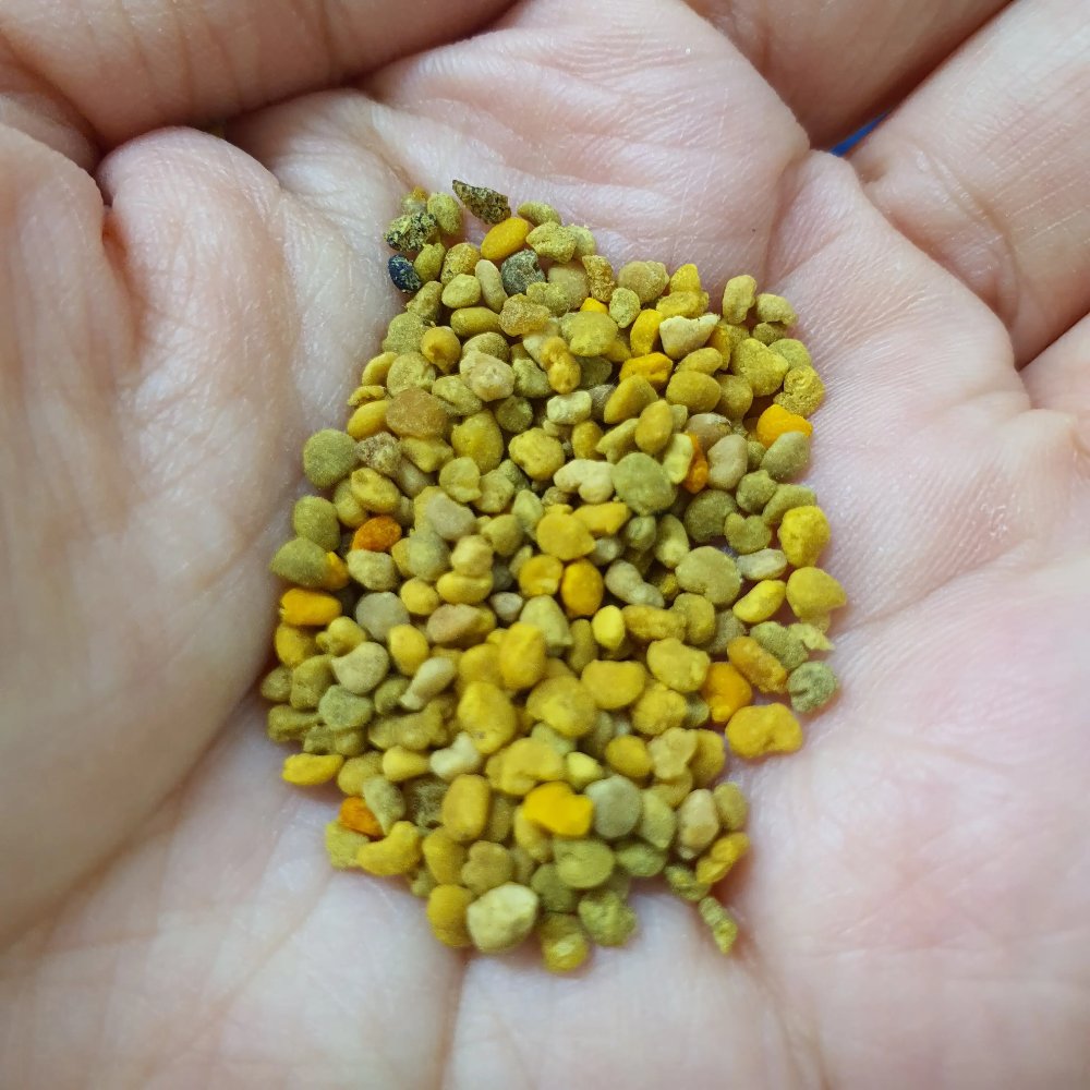 손바닥-위에-올린-꿀벌화분-한-줌