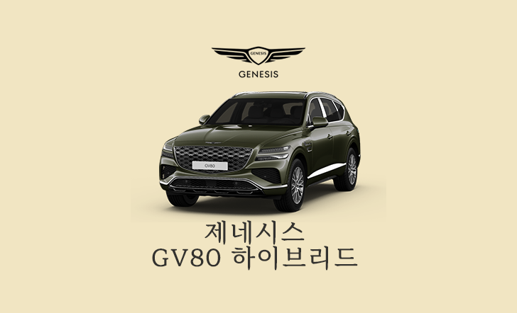 gv80 하이브리드