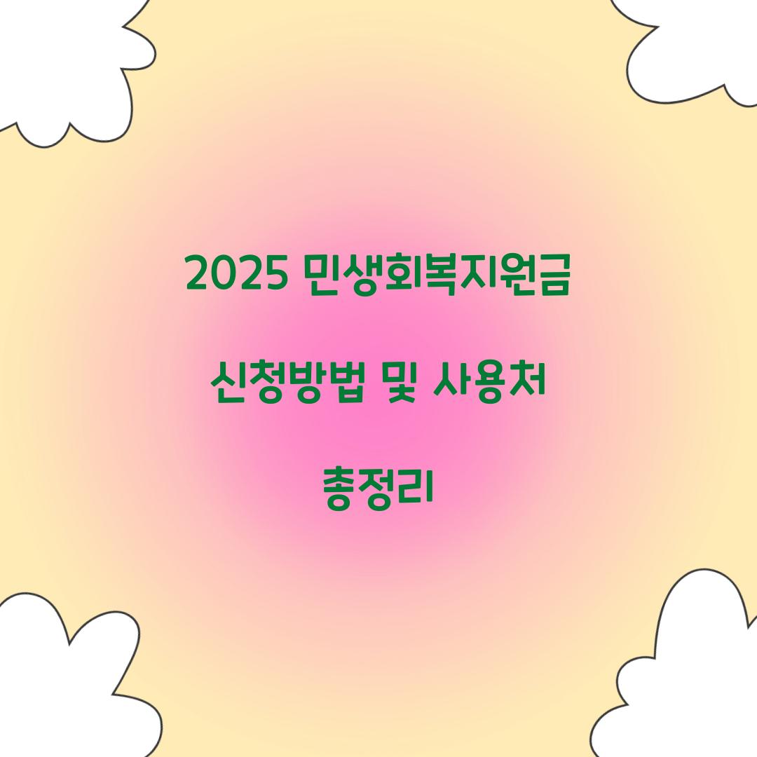 2025 민생회복지원금
