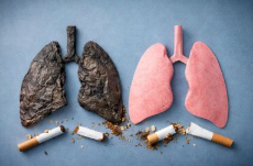 금연 후 몸의 변화 / 신체변화