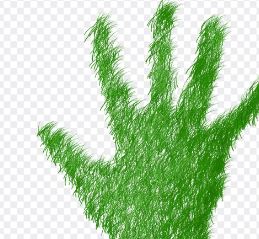 주민등록번호 뒷자리 남자 여자 지역 번호 1 3 2 4