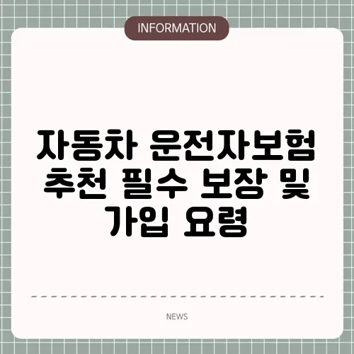 자동차 운전자보험 추천 필수 보장 및 가입 요령