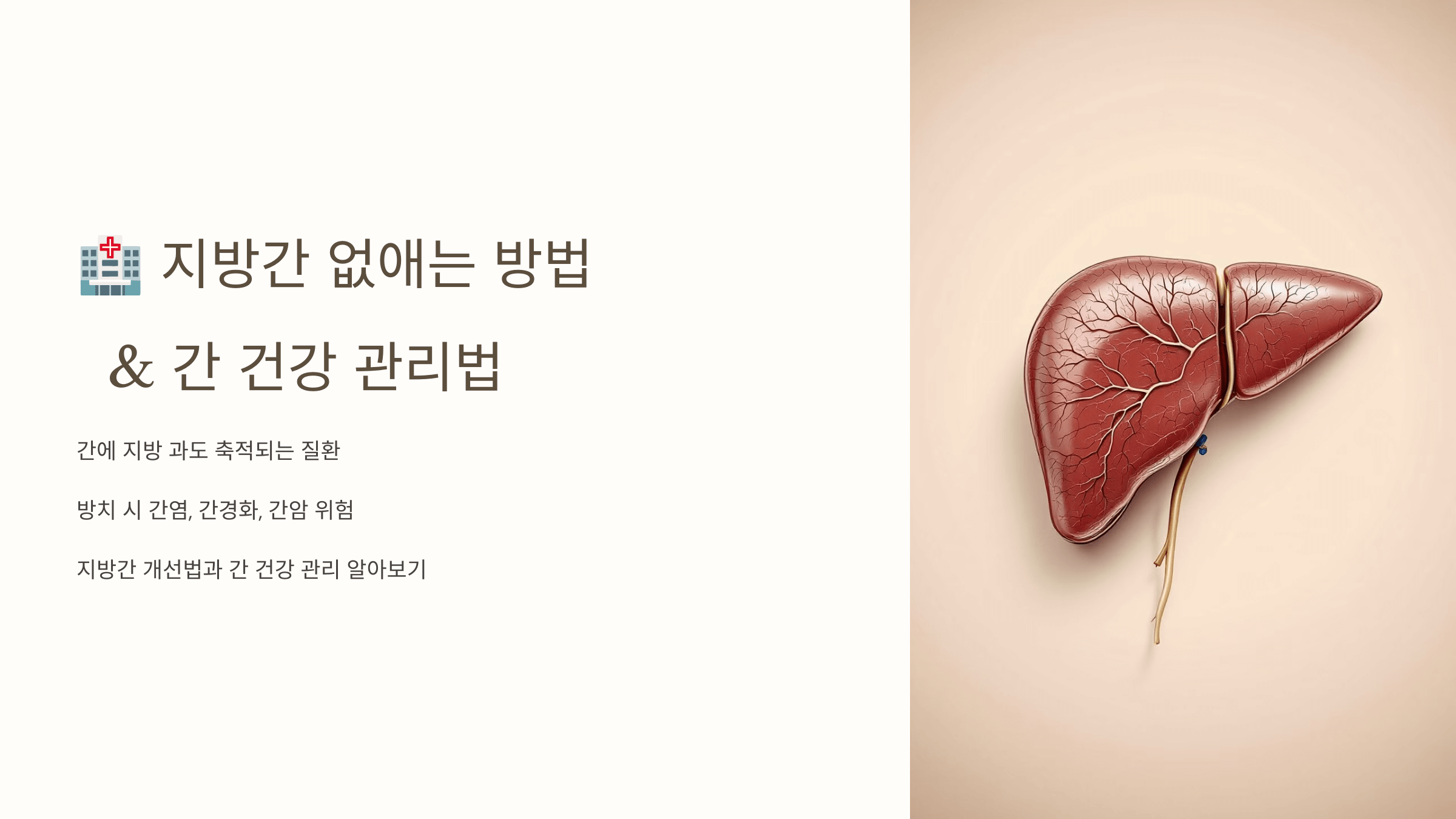 지방간과 관련된 사진입니다.