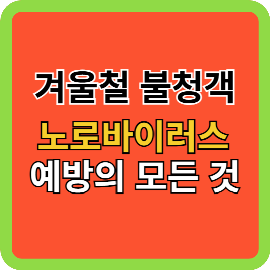 겨울철 불청객, 노로바이러스 예방의 모든 것