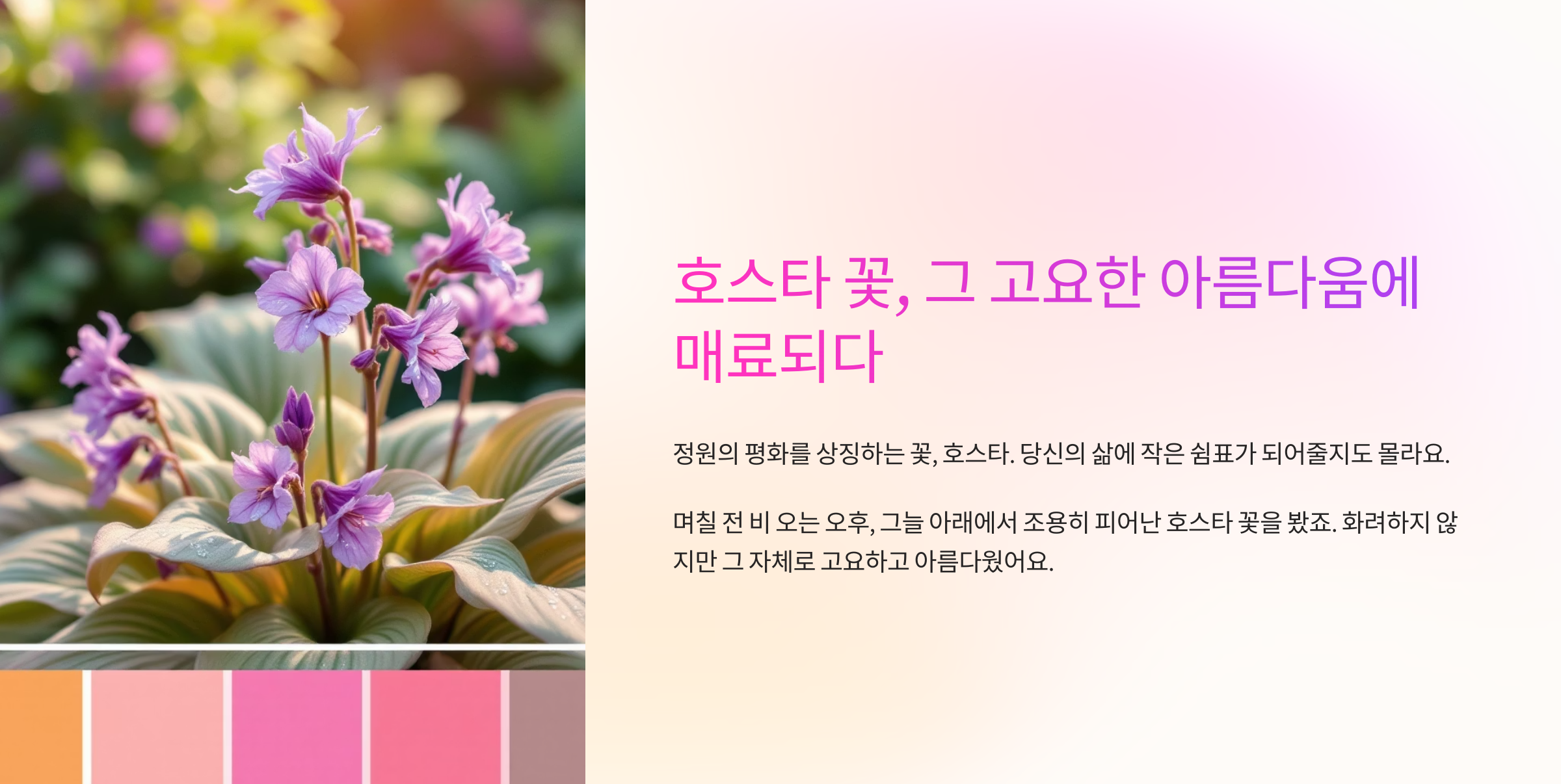 호스타꽃