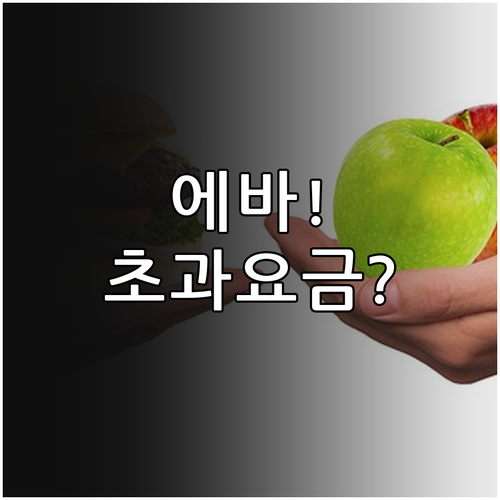 에바항공 초과 수하물 요금과 절약하는..
