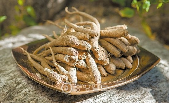 사포닌많은음식