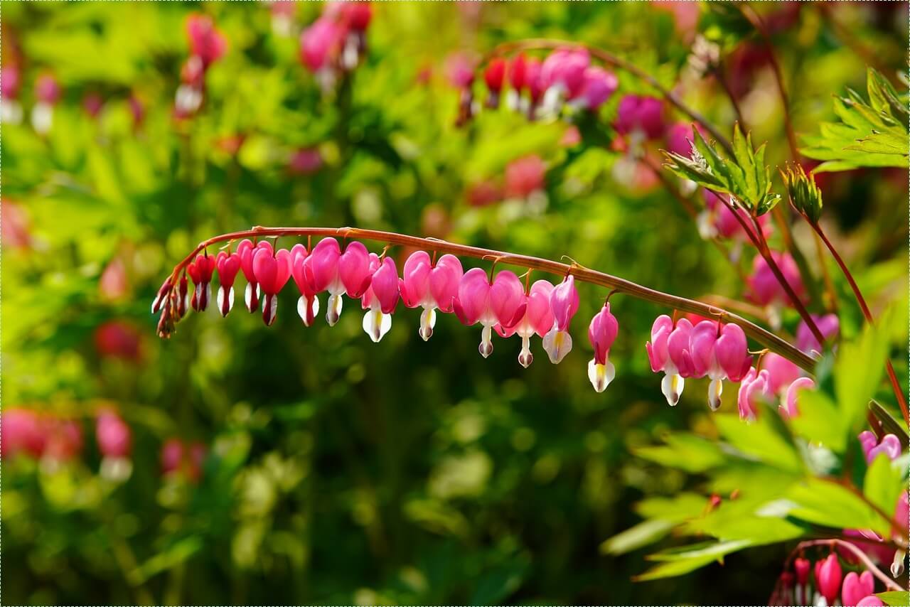 은행 적금 이자 높은곳