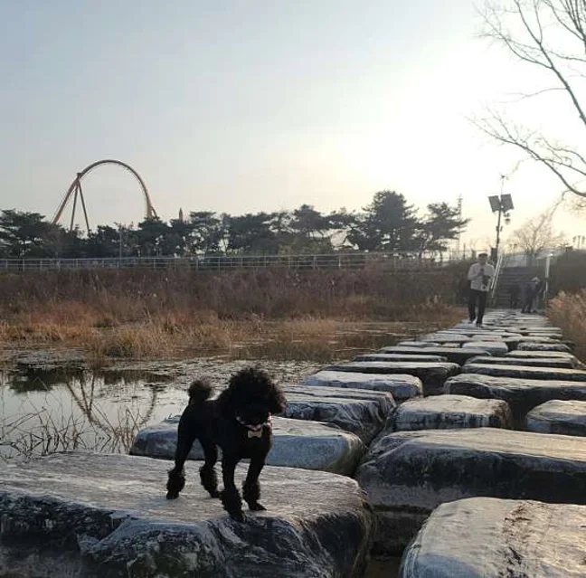 보문관광단지