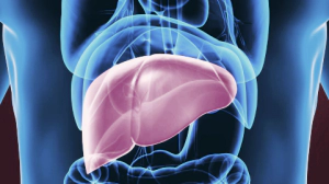 간이 하는일, 간질환 종류 증상, 간 건강을 지키는 방법