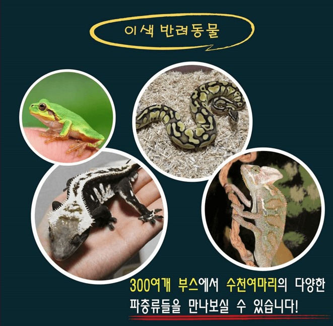 대한민국 파충류 페스티벌