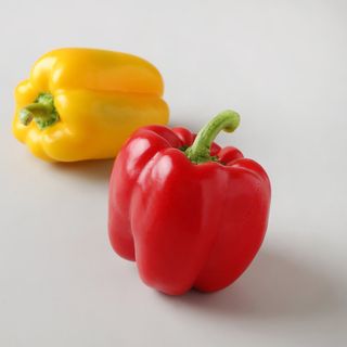 홈플러스 홈플런 전단 행사 쿠폰 혜택 총정리