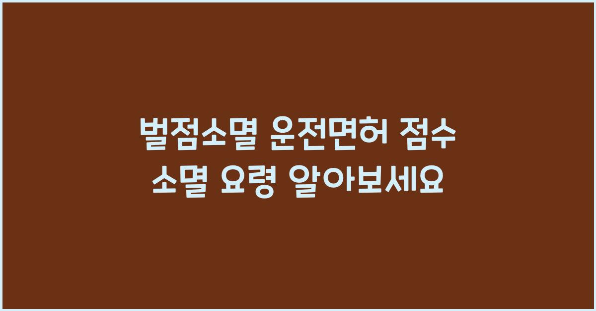 벌점소멸