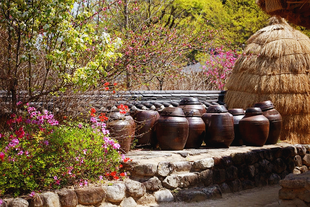 지자체공고 확인