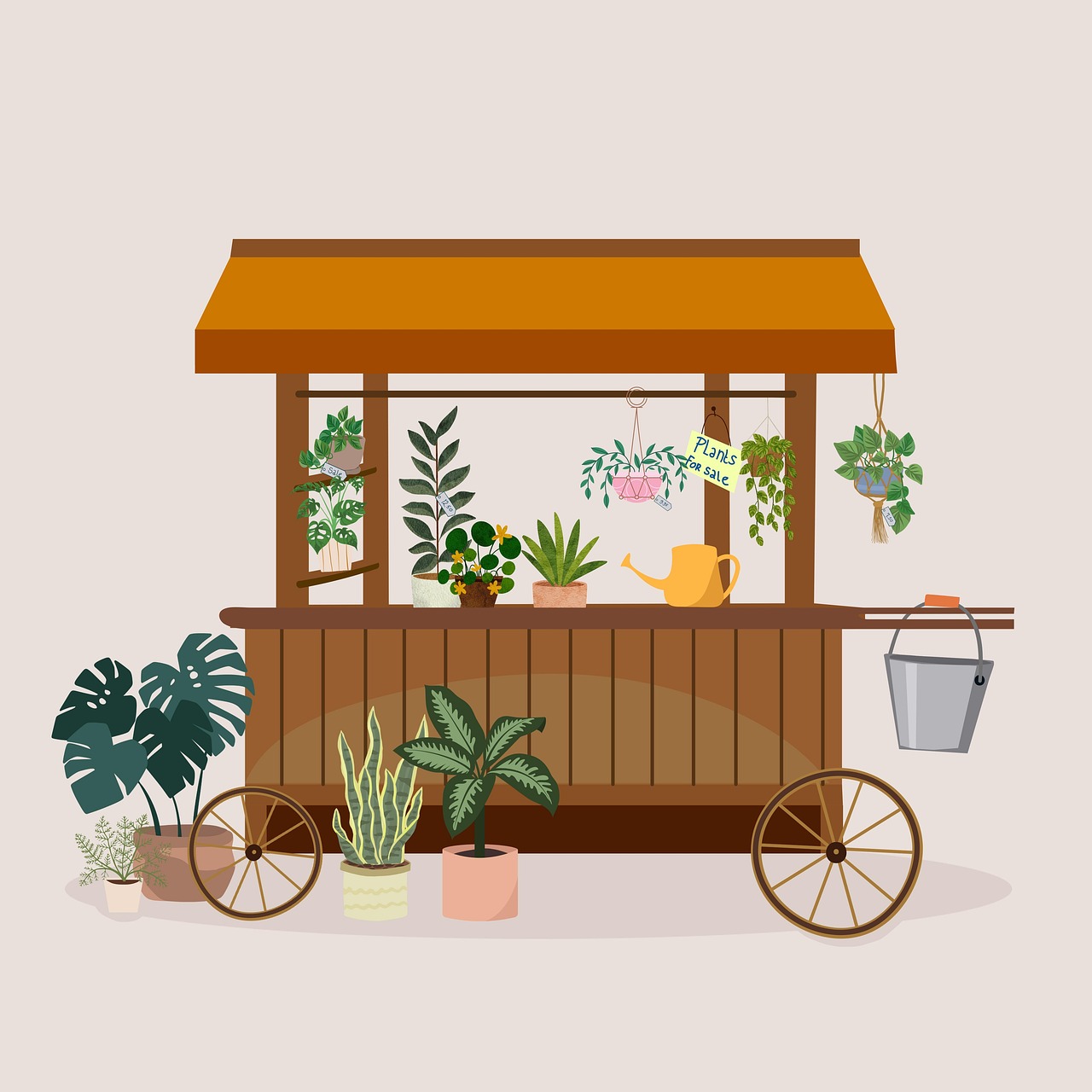 식물 판매 이미지