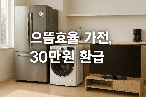 1등급 가전 환급 2025 최신 가이드 ❘ 으뜸효율 신청 방법
