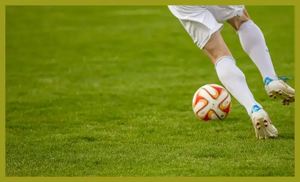 축구 중계방송 바로보기 (한국 팔레스타인)