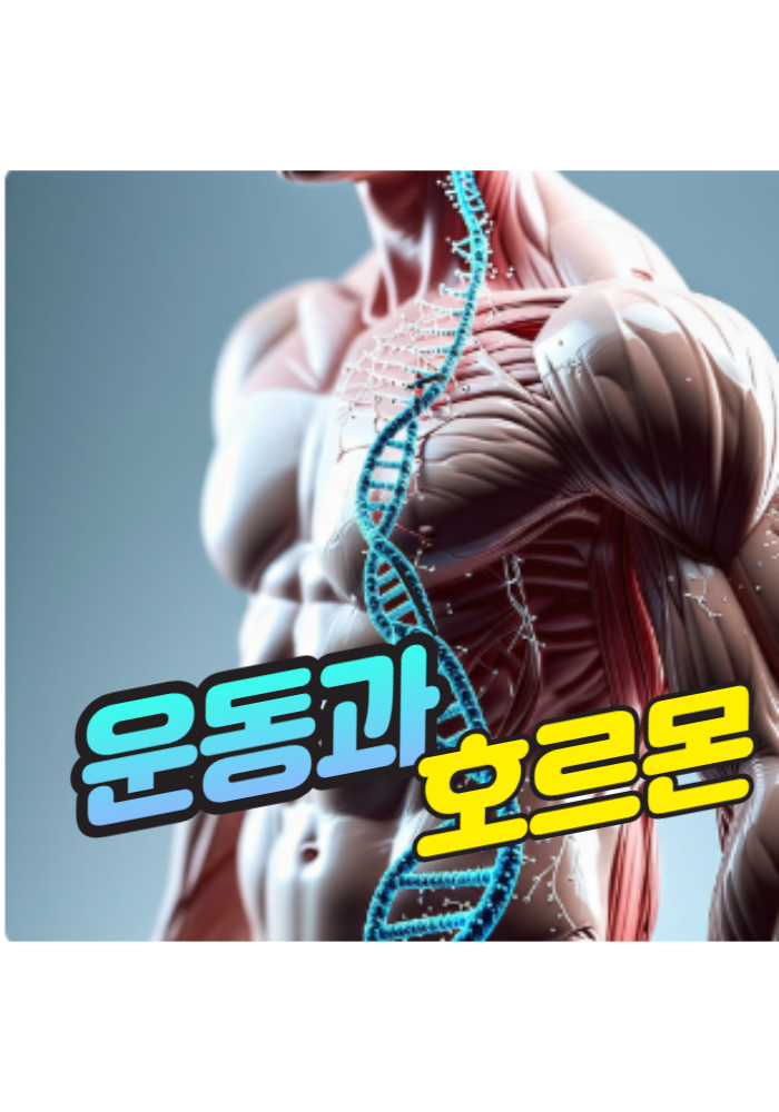 1.운동과 호르몬