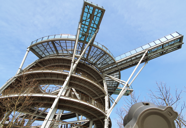 단양 가볼만한곳