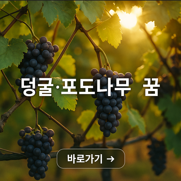 덩굴 포도나무 꿈